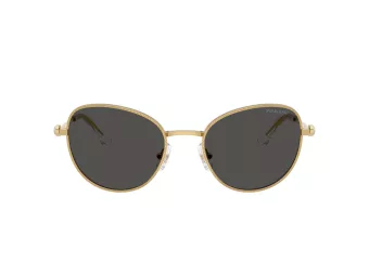 Swarovski Lunettes de Soleil SK 7032 400487