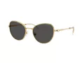 Swarovski Lunettes de Soleil SK 7032 400487