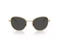 Swarovski Lunettes de Soleil SK 7032 400487