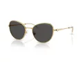 Swarovski Lunettes de Soleil SK 7032 400487