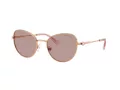 Swarovski Lunettes de Soleil SK 7032 40147N