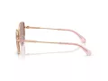 Swarovski Lunettes de Soleil SK 7032 40147N