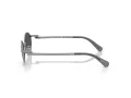 Swarovski Lunettes de Soleil SK 7033 40096G