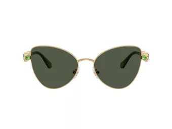 Swarovski Lunettes de Soleil SK 7034 404G82