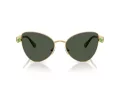 Swarovski Lunettes de Soleil SK 7034 404G82
