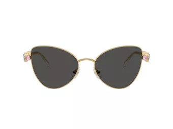 Swarovski Lunettes de Soleil SK 7034 404M87