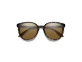 Smith Lunettes de Soleil SM Cheetah 086/L5