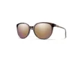 Smith Lunettes de Soleil SM Cheetah 0T4/9V