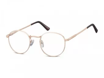 Berkeley lunettes 604 F