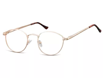 Berkeley lunettes 793C