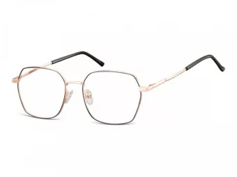Berkeley lunettes 913B
