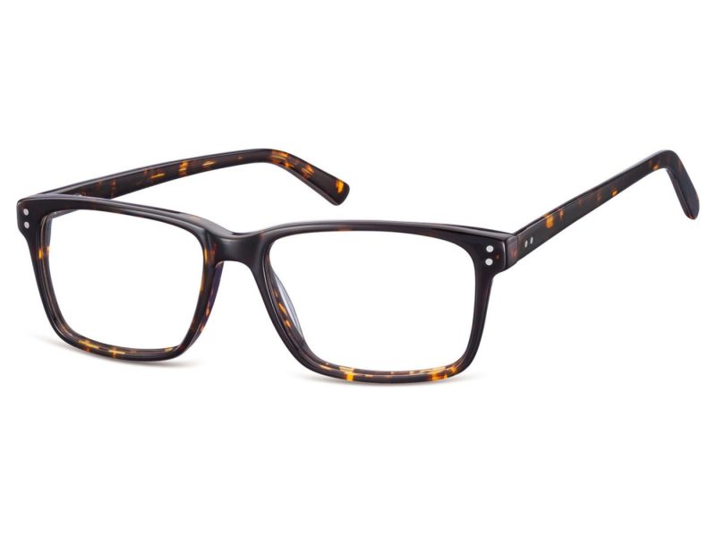 Berkeley lunettes A85A
