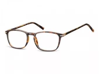Berkeley lunettes AC9C