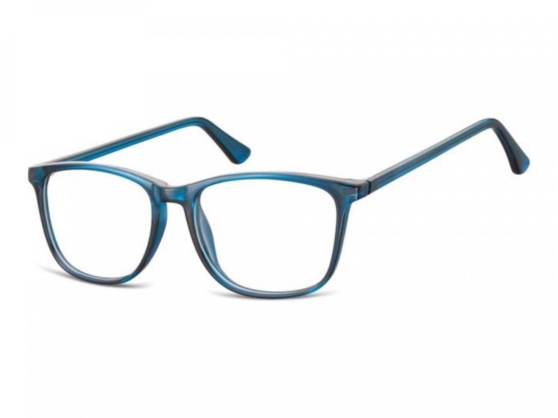 Berkeley lunettes CP141 D