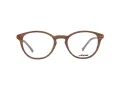 Sting Lunettes de Vue S 6561 0ANC