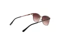 Ted Baker Lunettes de Soleil TB 1563 004