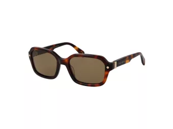 Ted Baker Lunettes de Soleil TB 1697 101