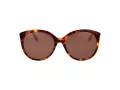 Ted Baker Lunettes de Soleil TB 1741 100