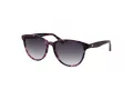 Ted Baker Lunettes de Soleil TB 1763 702