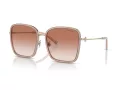Tiffany Lunettes de Soleil TF 3087D 602113