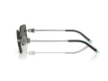 Tiffany Lunettes de Soleil TF 3088 60033H