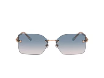 Tiffany Lunettes de Soleil TF 3088 610516