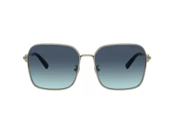 Tiffany Lunettes de Soleil TF 3093D 60219S