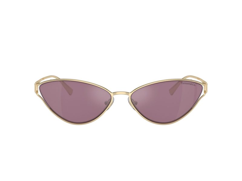 Tiffany Lunettes de Soleil TF 3095 6194AK