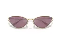 Tiffany Lunettes de Soleil TF 3095 6194AK