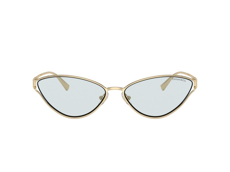 Tiffany Lunettes de Soleil TF 3095 6196MF