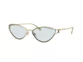 Tiffany Lunettes de Soleil TF 3095 6196MF