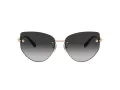 Tiffany Lunettes de Soleil TF 3096 60213C