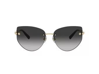 Tiffany Lunettes de Soleil TF 3096 60213C