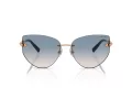Tiffany Lunettes de Soleil 3096 610516