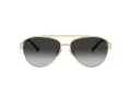 Tiffany Lunettes de Soleil TF 3101B 60213C