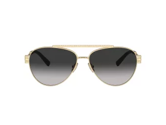 Tiffany Lunettes de Soleil TF 3101B 60213C