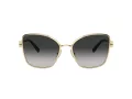Tiffany Lunettes de Soleil TF 3102B 60213C