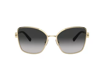 Tiffany Lunettes de Soleil TF 3102B 60213C