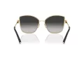 Tiffany Lunettes de Soleil TF 3102B 60213C
