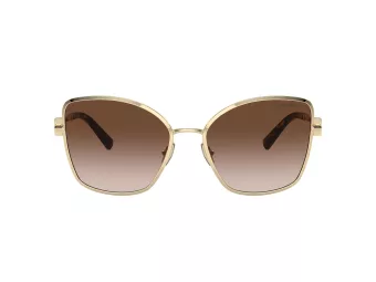 Tiffany Lunettes de Soleil TF 3102B 61893B