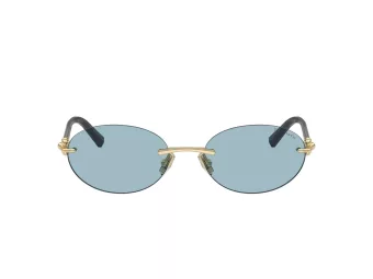 Tiffany Lunettes de Soleil TF 3104D 602180
