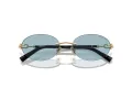 Tiffany Lunettes de Soleil TF 3104D 602180