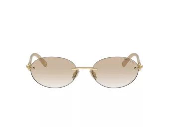Tiffany Lunettes de Soleil TF 3104D 617811