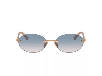 Tiffany Lunettes de Soleil TF 3104D 621716