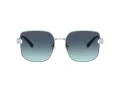 Tiffany Lunettes de Soleil TF 3105D 60019S