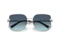 Tiffany Lunettes de Soleil TF 3105D 60019S
