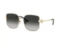 Tiffany Lunettes de Soleil TF 3105D 6021S4