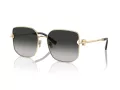 Tiffany Lunettes de Soleil TF 3105D 6021S4