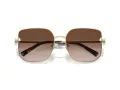 Tiffany Lunettes de Soleil TF 3105D 61893B