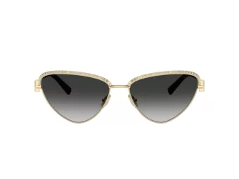 Tiffany Lunettes de Soleil TF 3107KB 62203C